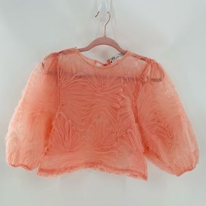 Zara Top Pink Size Small